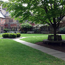Selin Courtyard at Sterling Memorial Library