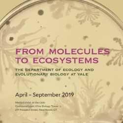 From Molecules to Ecosystems