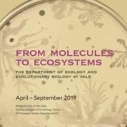 From Molecules to Ecosystems From Molecules to Ecosystems
